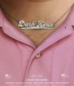 黑马 Dark Horse            (2011)