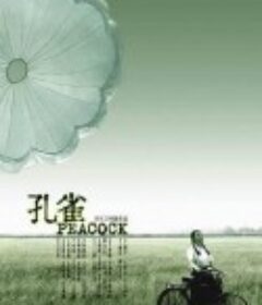 孔雀            (2005)