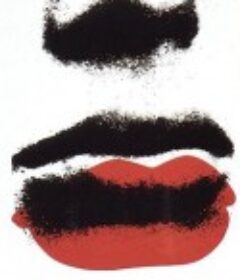 偷吻 Baisers volés            (1968)