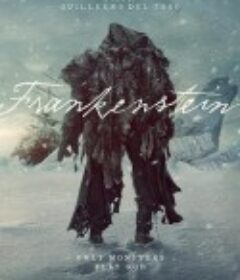 弗兰肯斯坦 Frankenstein            (2025)
