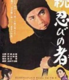 忍者续集 続・忍びの者            (1963)