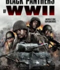 二战黑豹 Black Panthers of WWII            (2025)