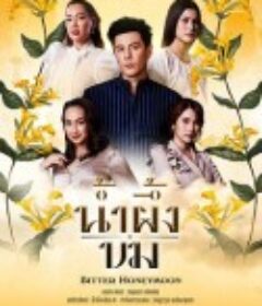 苦蜜 น้ำผึ้งขม            (2025)