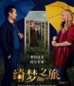 绮梦之旅 A Big Bold Beautiful Journey            (2025)