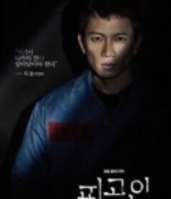 被告人 피고인            (2017)