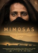 含羞草 Mimosas            (2016)