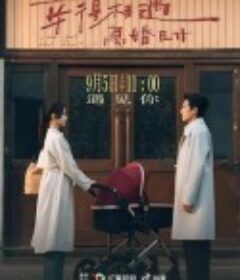 幸得相遇离婚时            (2025)