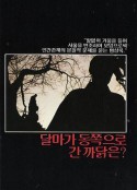 达摩为何东渡？ 달마가 동쪽으로 간 까닭은?            (1989)