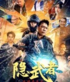 隐武者：大破青龙会            (2028)