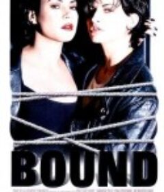 惊世狂花 Bound            (1996)