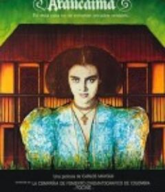 阿拉乌卡伊玛庄园 La Mansión de Araucaima            (1986)