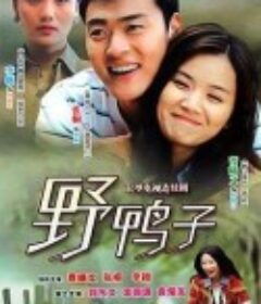 野鸭子            (2011)