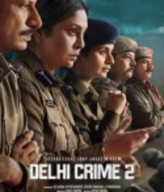 德里罪案 第二季 Delhi Crime Season 2            (2022)