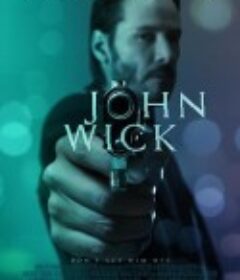 疾速追杀 John Wick            (2014)
