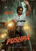 普什帕：崛起-第1部分 Pushpa - The Rise: Part 1            (2021)