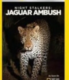 夜行追踪 Night Stalkers            (2011)