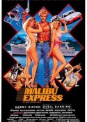 马里布激情快递 Malibu Express            (1985)