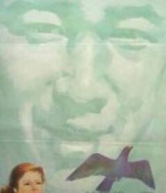 鸽子迷的奇遇            (1987)