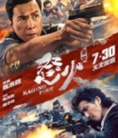 怒火·重案 怒火            (2021)