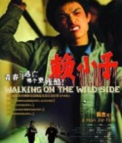 赖小子            (2006)