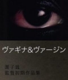 阴道与处女之道 ヴァギナ&amp;ヴァージン            (1994)