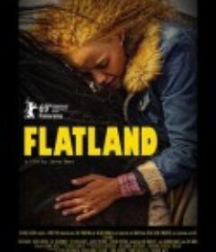 平地 Flatland            (2019)