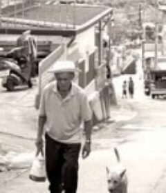 32公里 ∼六十年            (2018)