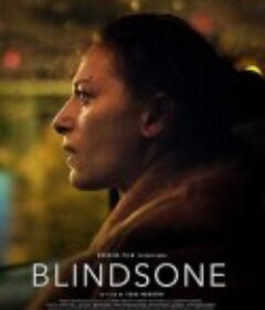 盲点 Blindsone            (2018)