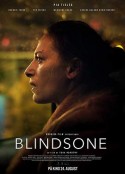 盲点 Blindsone            (2018)