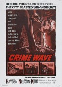 警网重重 Crime Wave            (1953)