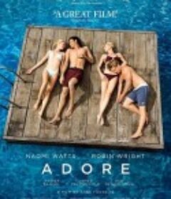 忘年恋曲 Adore            (2013)