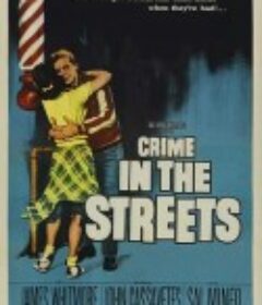 街头争霸 Crime in the Streets            (1956)