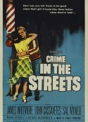 街头争霸 Crime in the Streets            (1956)