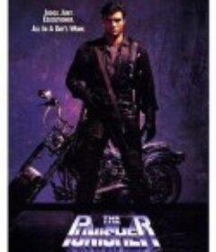 特警威龙 The Punisher            (1989)