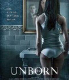 婴灵恶泣 The Unborn            (2009)