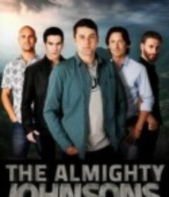 全能约翰逊兄弟 第二季 The Almighty Johnsons Season 2            (2012)