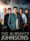 全能约翰逊兄弟 第二季 The Almighty Johnsons Season 2            (2012)