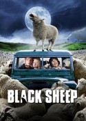 疯羊 Black Sheep            (2006)