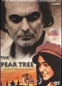 梨子树 Derakhte Golabi            (1998)