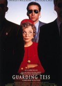 第一夫人的保镖 Guarding Tess            (1994)