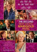 涉外大饭店2 The Second Best Exotic Marigold Hotel            (2015)