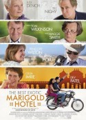 涉外大饭店 The Best Exotic Marigold Hotel            (2011)