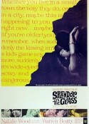 天涯何处觅知音 Splendor in the Grass            (1961)