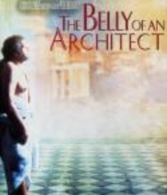 建筑师之腹 The Belly of an Architect            (1987)