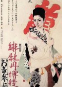 红牡丹赌徒：拜见阿龙 緋牡丹博徒 お竜参上            (1970)