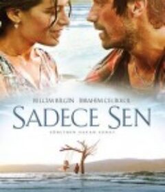 只有你 Sadece Sen            (2014)