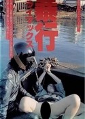 暴行高潮 暴行クライマックス            (1987)