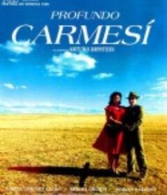 深深的腥红 Profundo carmesí            (1996)