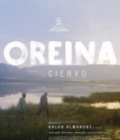 漂泊山丘 Oreina            (2018)