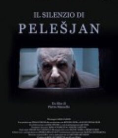佩莱希扬的沉默 Il silenzio di Pelesjan            (2011)
